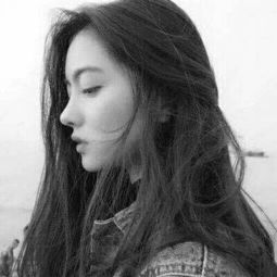 乱世无双游戏下载